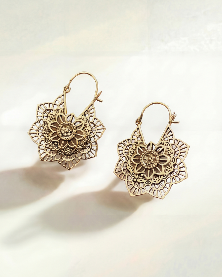Nayomi Elegant Earrings